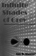 Infinite Shades of Grey - Advanced Consulting