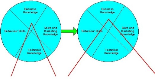 consult_skill consult_skill